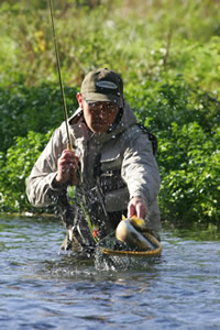 Netting a fish