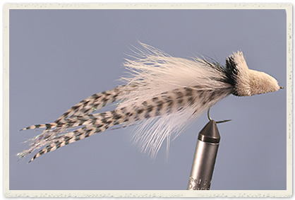 Pike FLY "DAHLBERG DIVER" 