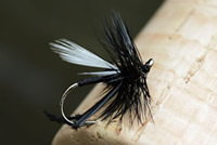 Traditional hackled dry fly