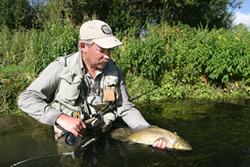 angler returning trout to water