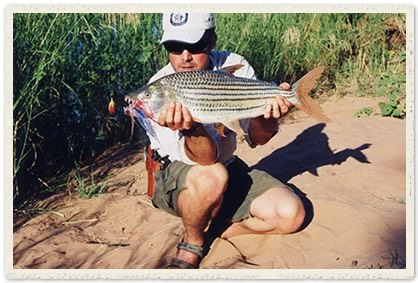 tigerfish