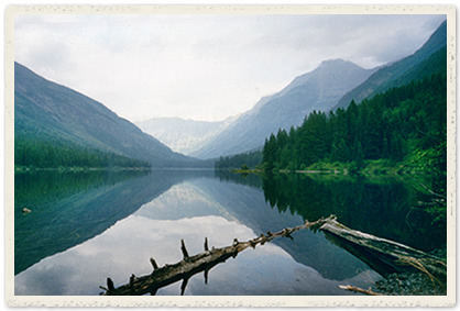 The View from Trout Lake