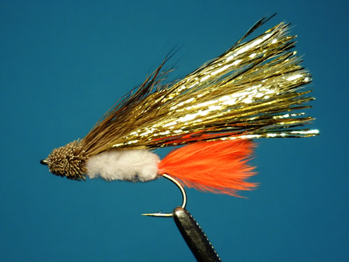 Fly Fishers' Republic - Flash Dancer