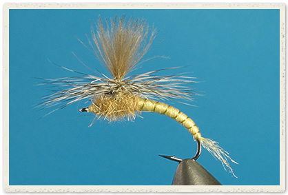 Fly Fishers' Republic - Mayfly Emerger